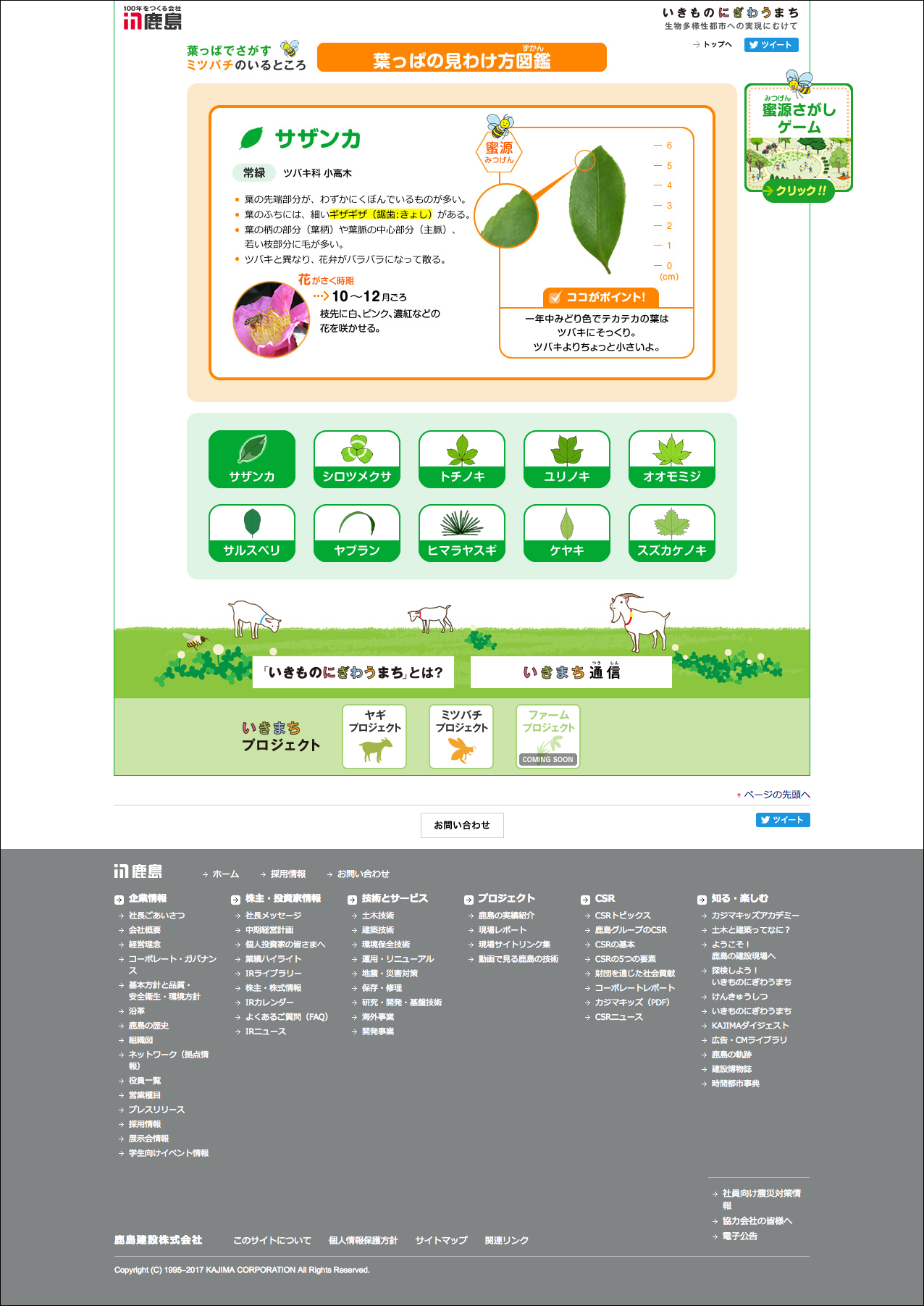 画像:Webゲームコンテンツ制作「葉っぱの見わけ方図鑑・蜜源さがしゲーム」/鹿島建設
